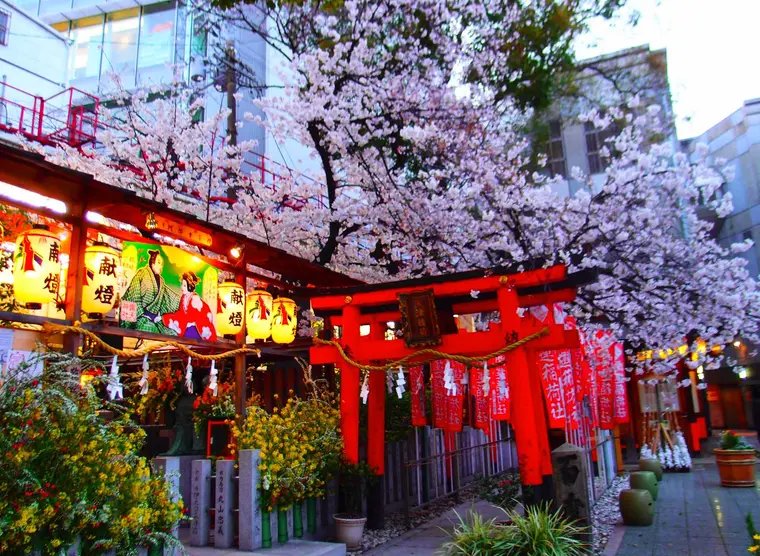 ⛩️ 츠유노텐 신사(오하츠텐진) 이미지 9